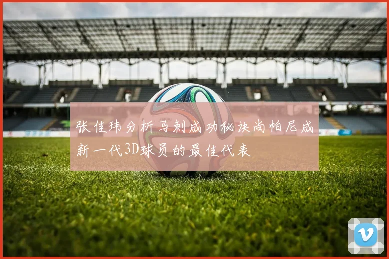 张佳玮分析马刺成功秘诀尚帕尼成新一代3D球员的最佳代表