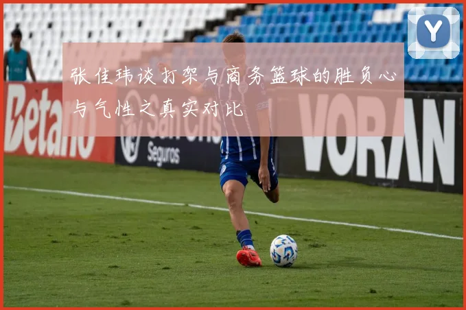 张佳玮谈打架与商务篮球的胜负心与气性之真实对比