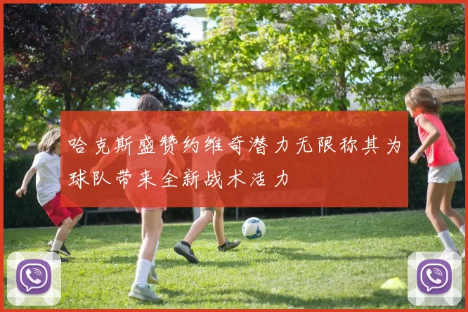 哈克斯盛赞约维奇潜力无限称其为球队带来全新战术活力